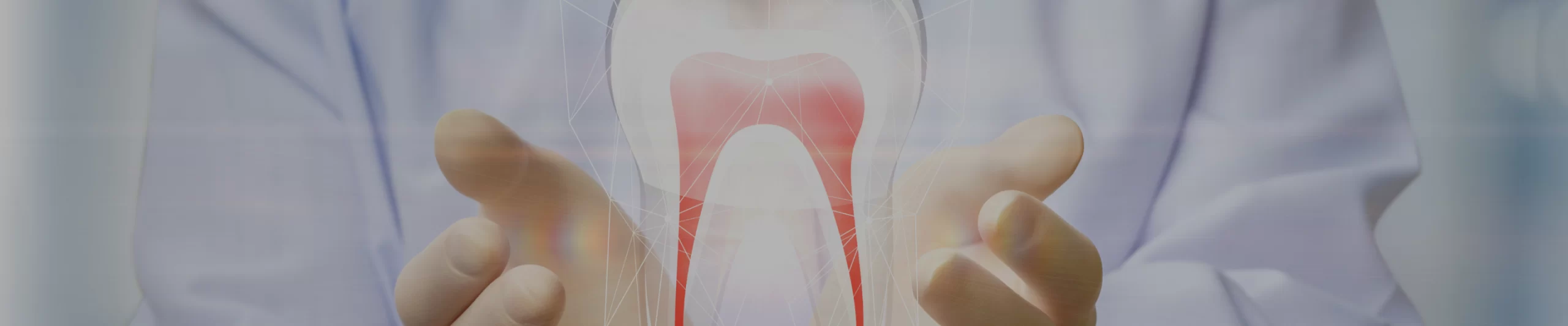 Root Canals Treatment